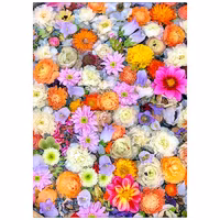 Färgglada blommor