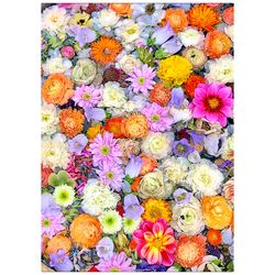 Färgglada blommor