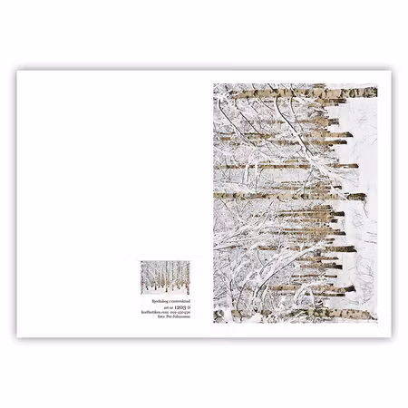 Dubbelt Julkort med kuvert - Vintrig Björkskog