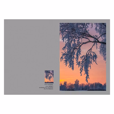 Dubbelt Julkort med kuvert - Frostig gren i solnedgång