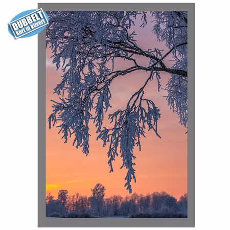 Dubbelt Julkort med kuvert - Frostig gren i solnedgång