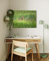 Rådjur i gräs - Canvas