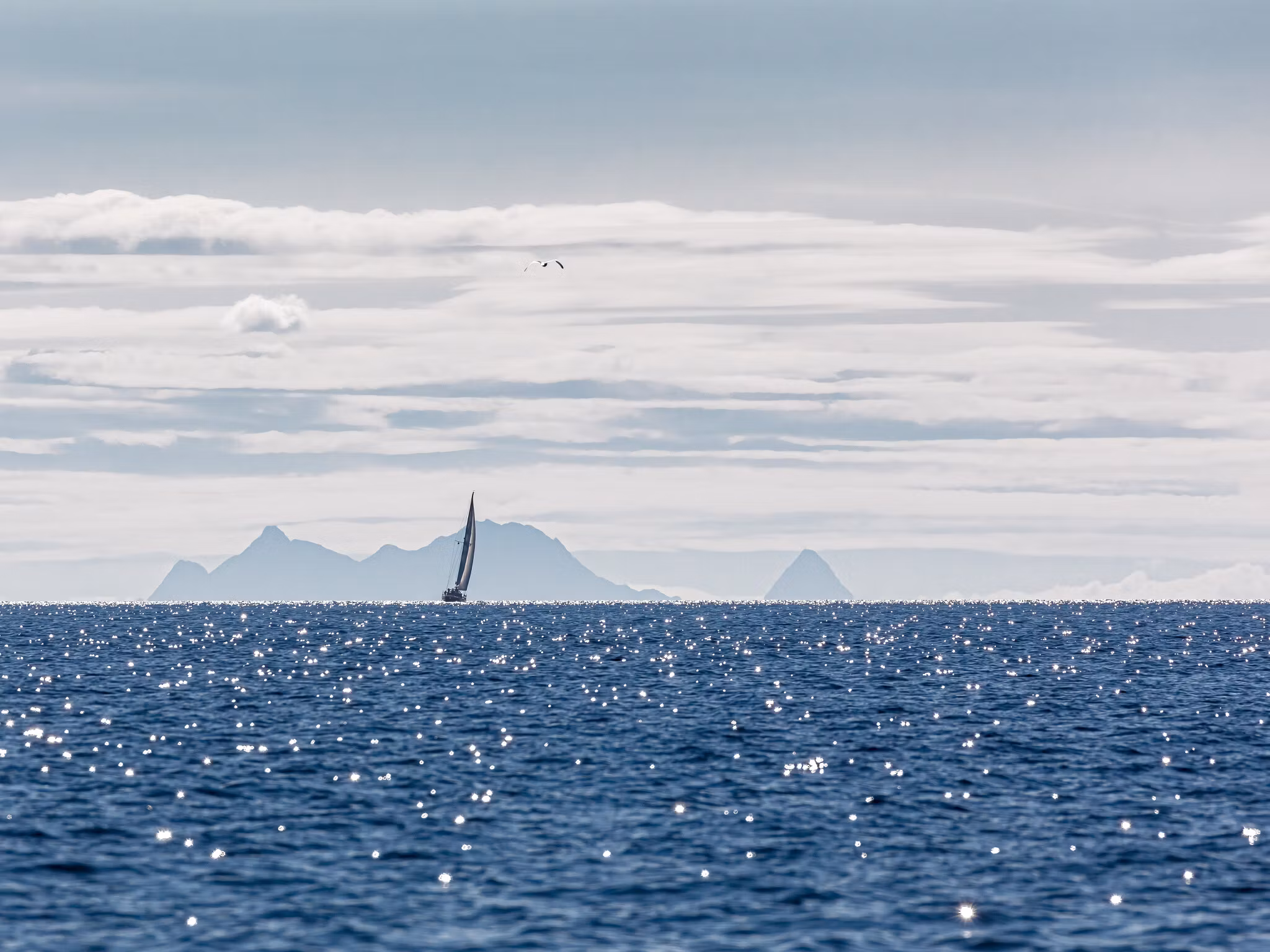 Segling Lofoten - Canvas