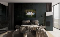 Sleeping Swan