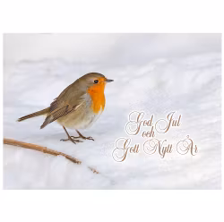 Julkort - Rödhake i snö