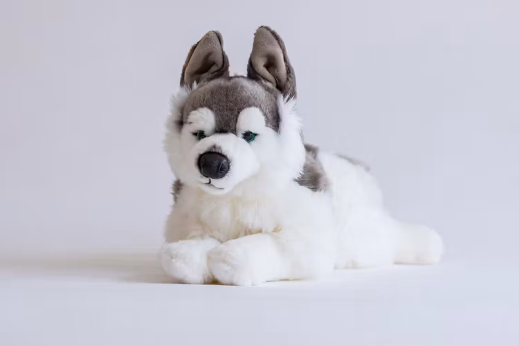 Husky