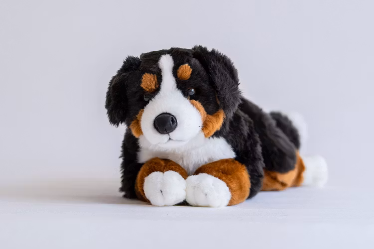 Berner sennen