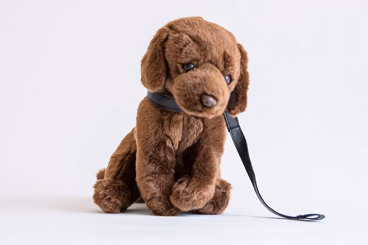 Labrador med koppel