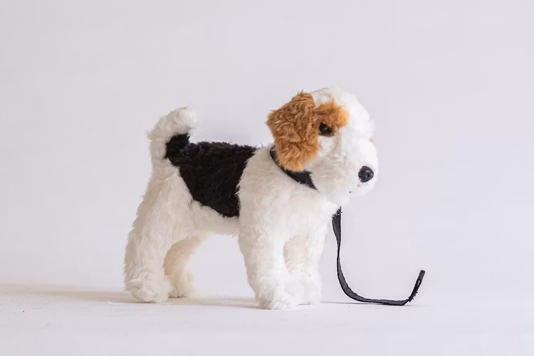 Fox terrier