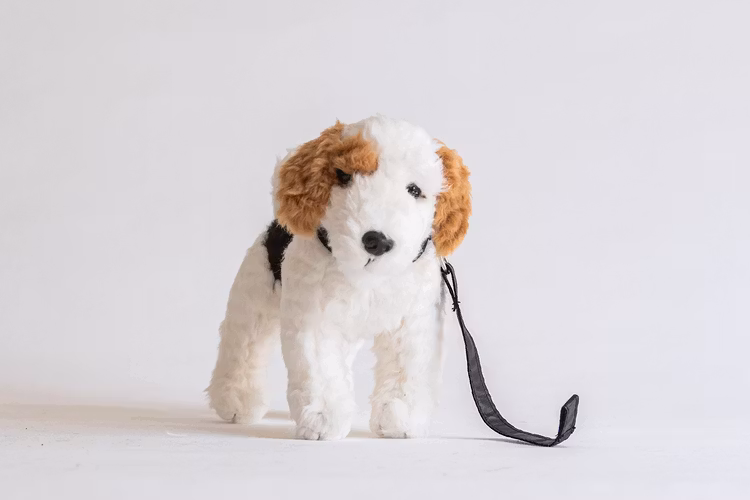 Fox terrier