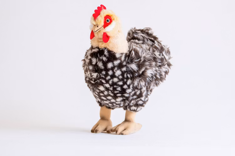 Höna med Ägg