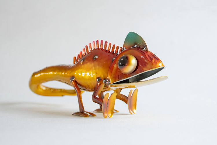 Kameleont orange