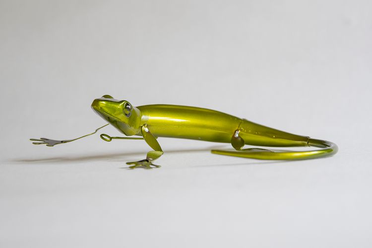 Gecko ödla grön
