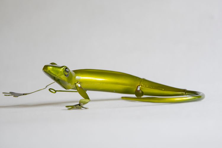 Gecko ödla grön