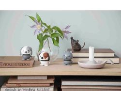 Cat cool grey