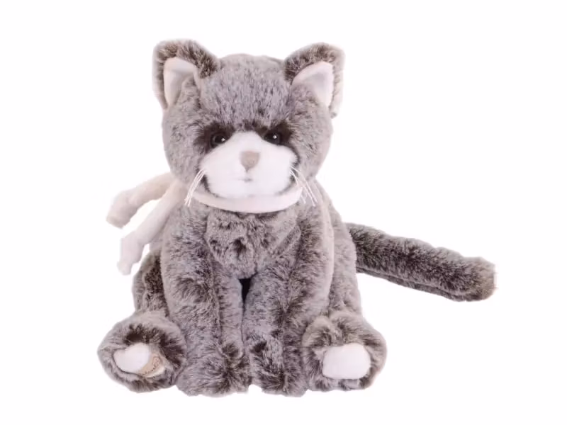 Kitty