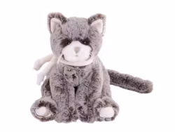 Kitty