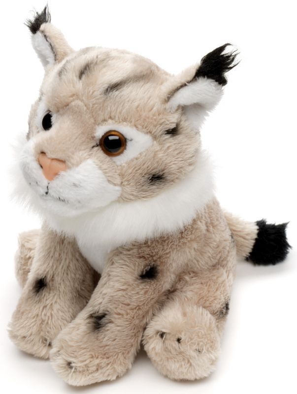 Lodjur Baby