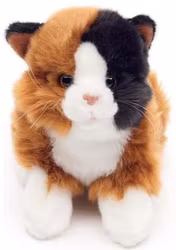 Katt liggande