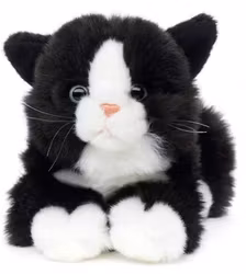 Katt liggande