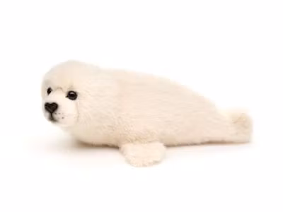 Säl sjöhund