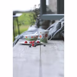 Skål Sommar