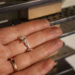 "Kunskapens äpple" silver