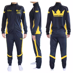 Team Sweden overall