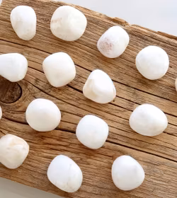 Scolosite, trumlade kulor -30% små i storlek