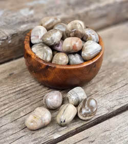 Förstenat trä, trumlad -60% FYND sprickor/ojämna