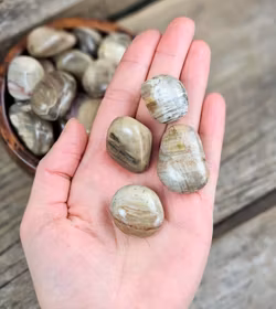 Förstenat trä, trumlad -60% FYND sprickor/ojämna