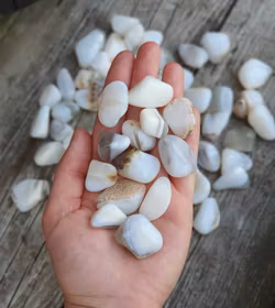 Vit Opal, trumlad -30% fynd nagg