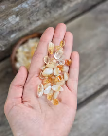 Citrin, små trumlade -80% rabatt C-kvalité Storpack!