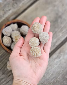 Ökenros (Sandros), rå -40% mini fynd (mindre storlek!)