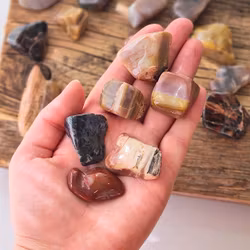 Förstenat trä -30% fynd utgående modell - sprickor förekommer