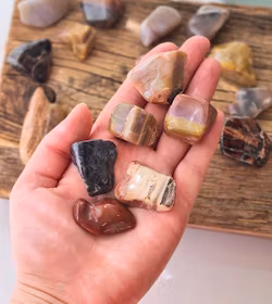 Förstenat trä -30% fynd utgående modell - sprickor förekommer