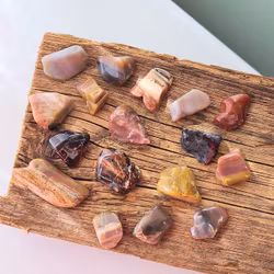 Förstenat trä -30% fynd utgående modell - sprickor förekommer