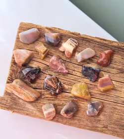 Förstenat trä -30% fynd utgående modell - sprickor förekommer