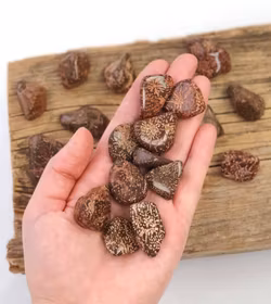 Stjärnjaspis, trumlade -30% fynd mindre / större / andra former / andra mönster