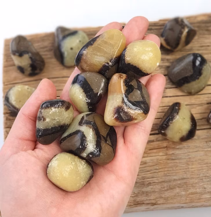 Draksten / Septarian, stora trumlade -30% fynd lite mindre storlek