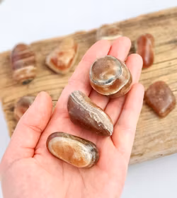 Brun Aragonit, stora trumlade -30% fynd sprickor