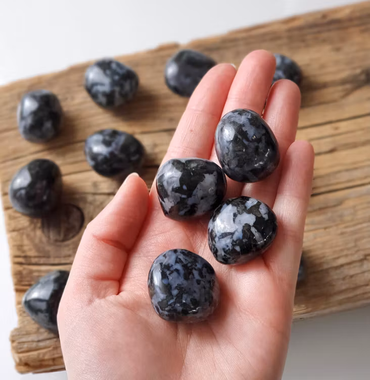 Indigo Gabbro (Mystic Merlinit), stor trumlad