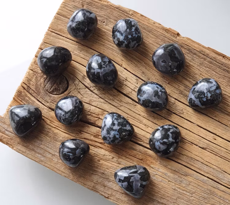 Indigo Gabbro (Mystic Merlinit), stor trumlad