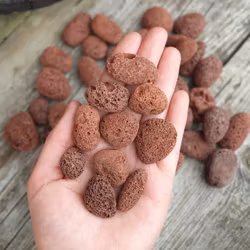 Brun Lavasten, trumlad