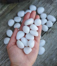 Snökvarts, trumlade