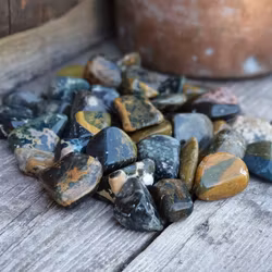 Oceanjaspis, trumlade