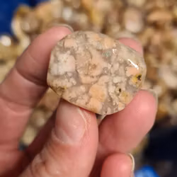 Rosa Mossagat, stora trumlade