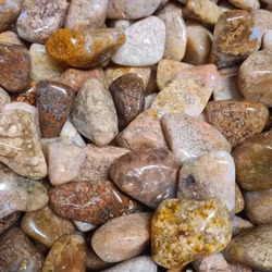 Rosa Mossagat, stora trumlade