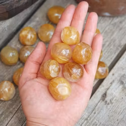 Golden Healer, cuddlestone