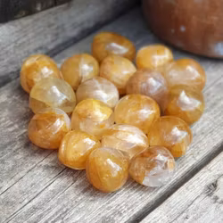 Golden Healer, cuddlestone